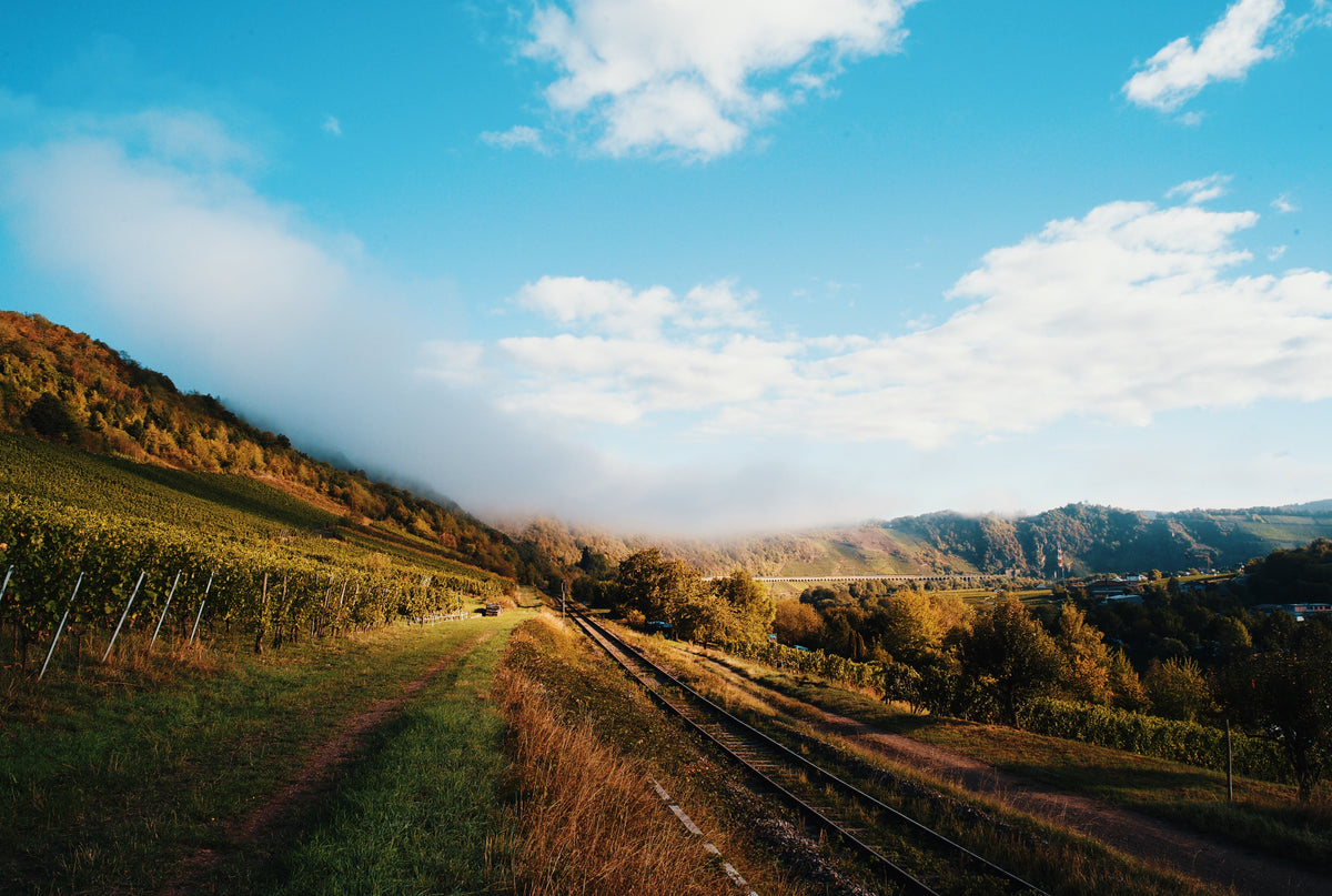 Weinbergslandschaft an der Mosel mit Weg und Wolkenhimmel