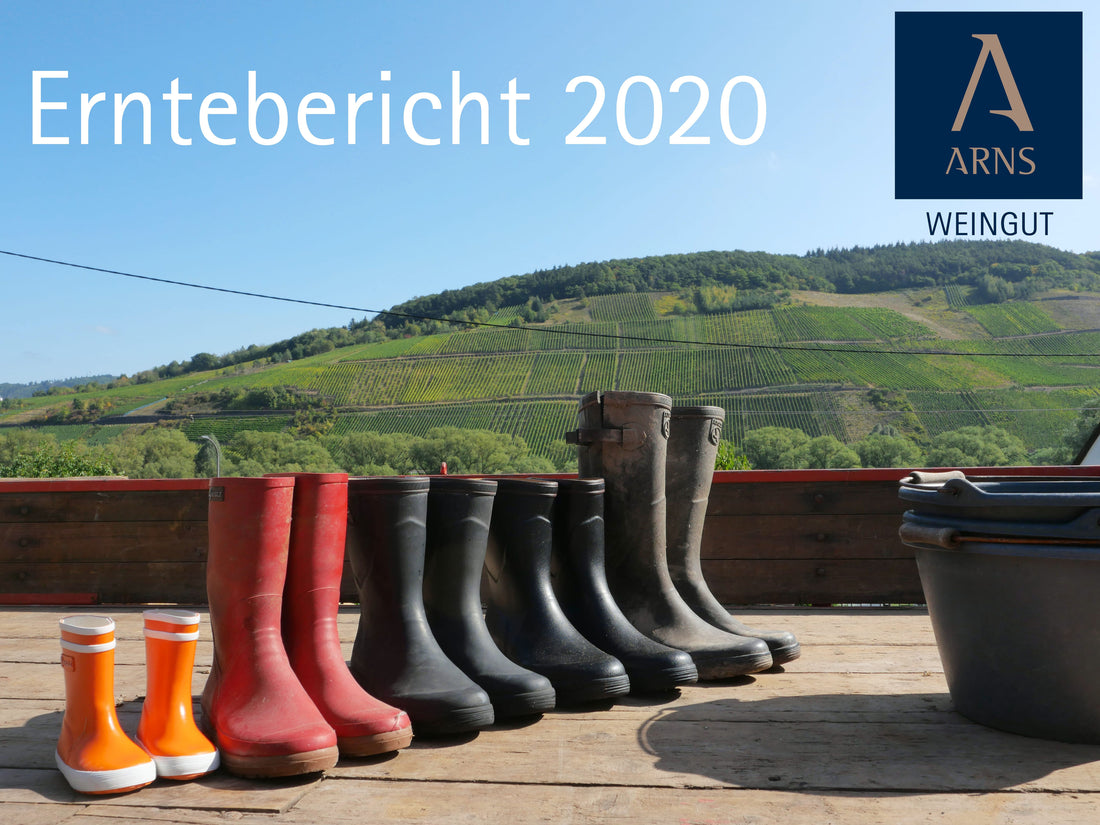 Erntebericht 2020