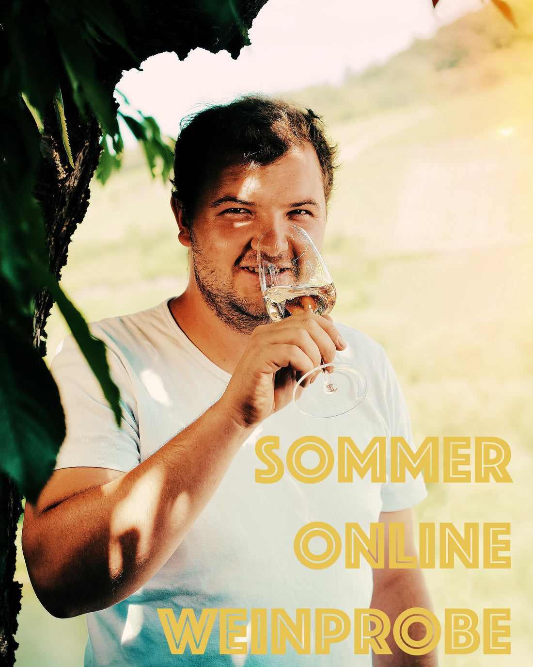 Online Weinprobe Sommer