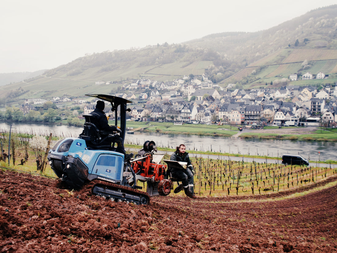Neue Weinberge