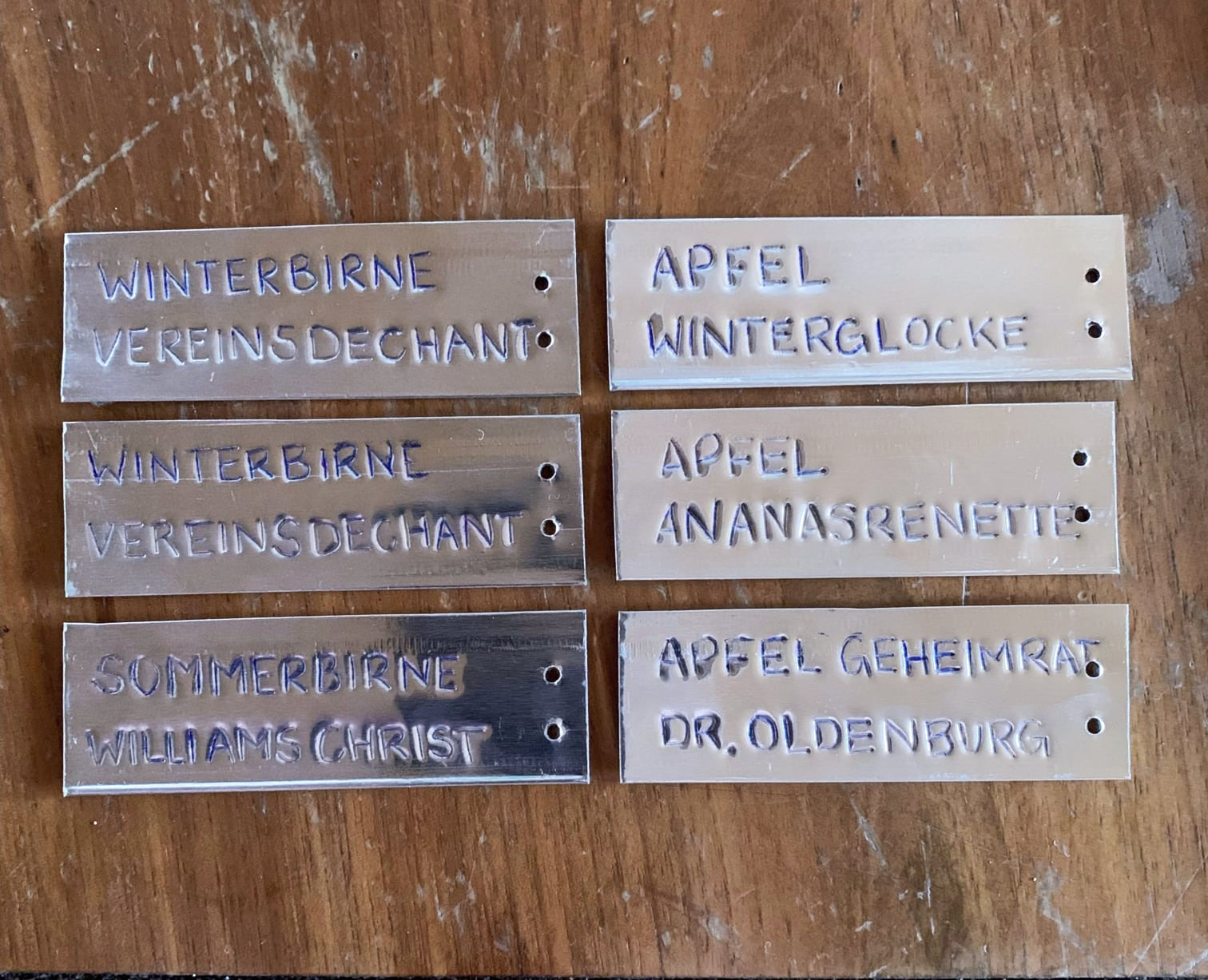 Obst- und Gemüsegarten