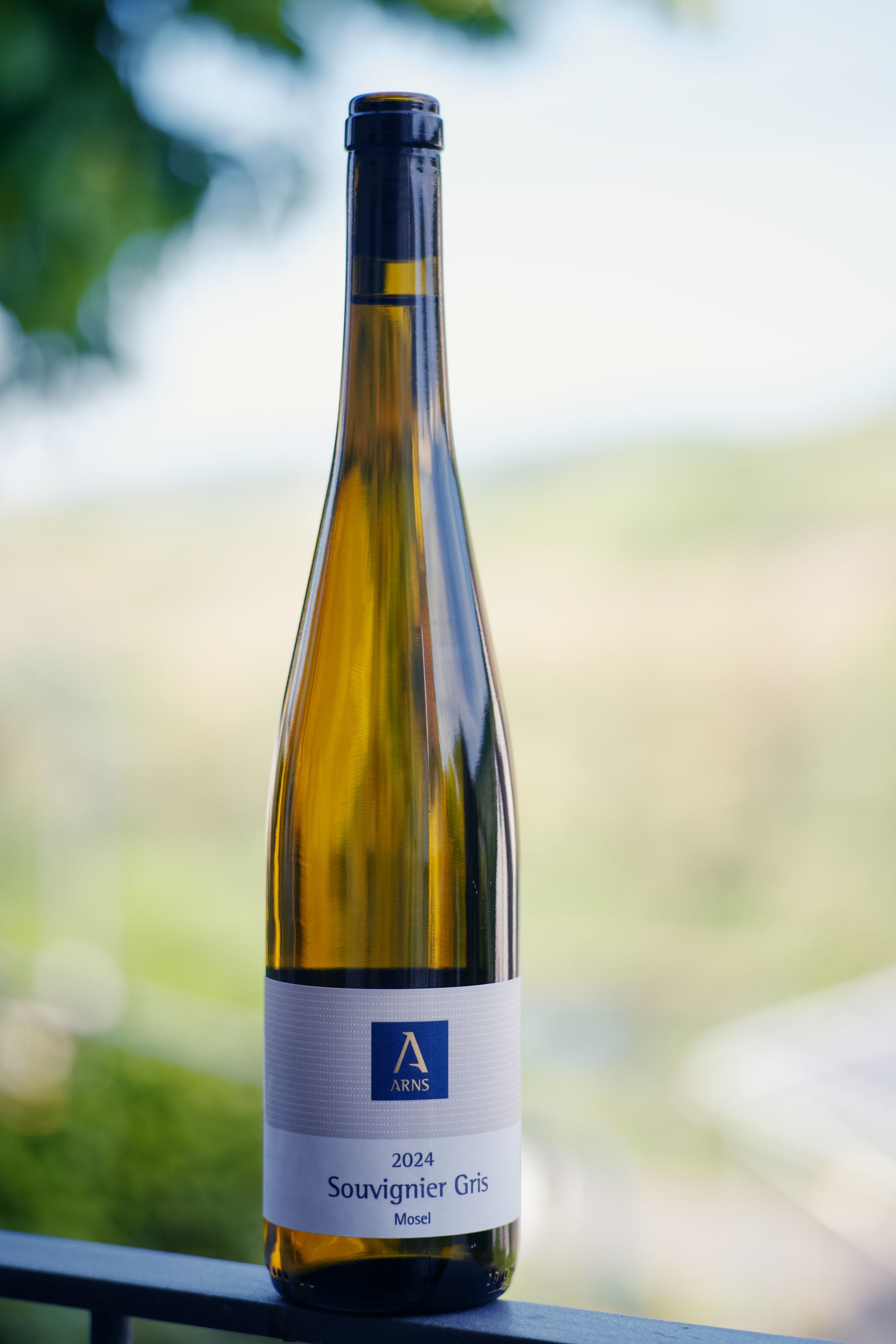 Wein des Monats JUNI 25