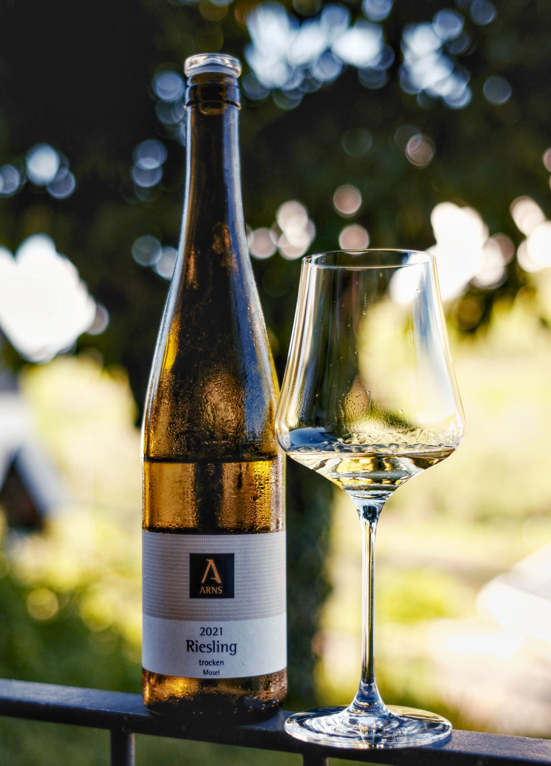 Wein im Fokus - Sommer 2024