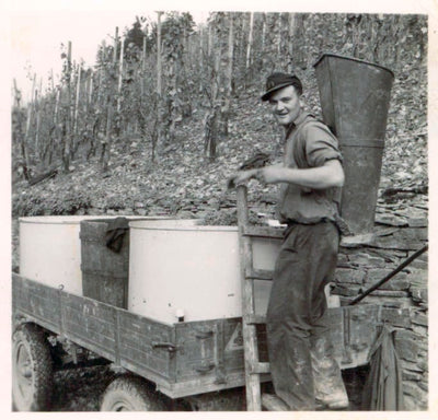 Heinz Schneiders bei der Traubenernte mit Bütte auf dem Rücken – historisches Foto Weingut Arns