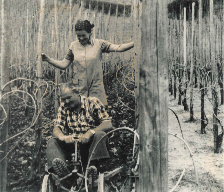 Heinz und Hilde Schneiders bei der Weinbergarbeit mit der Hackmaschine im Weinberg – historisches Foto Weingut Arns