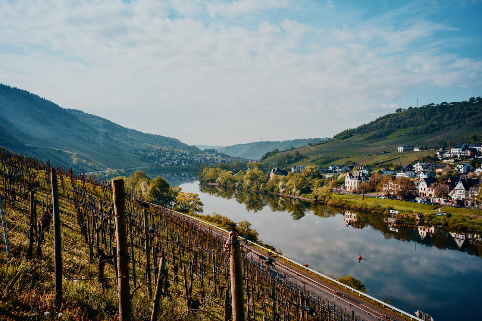 Panoramablick über die Weinberge des Weinguts Arns auf die Mosel und den Ort Reil