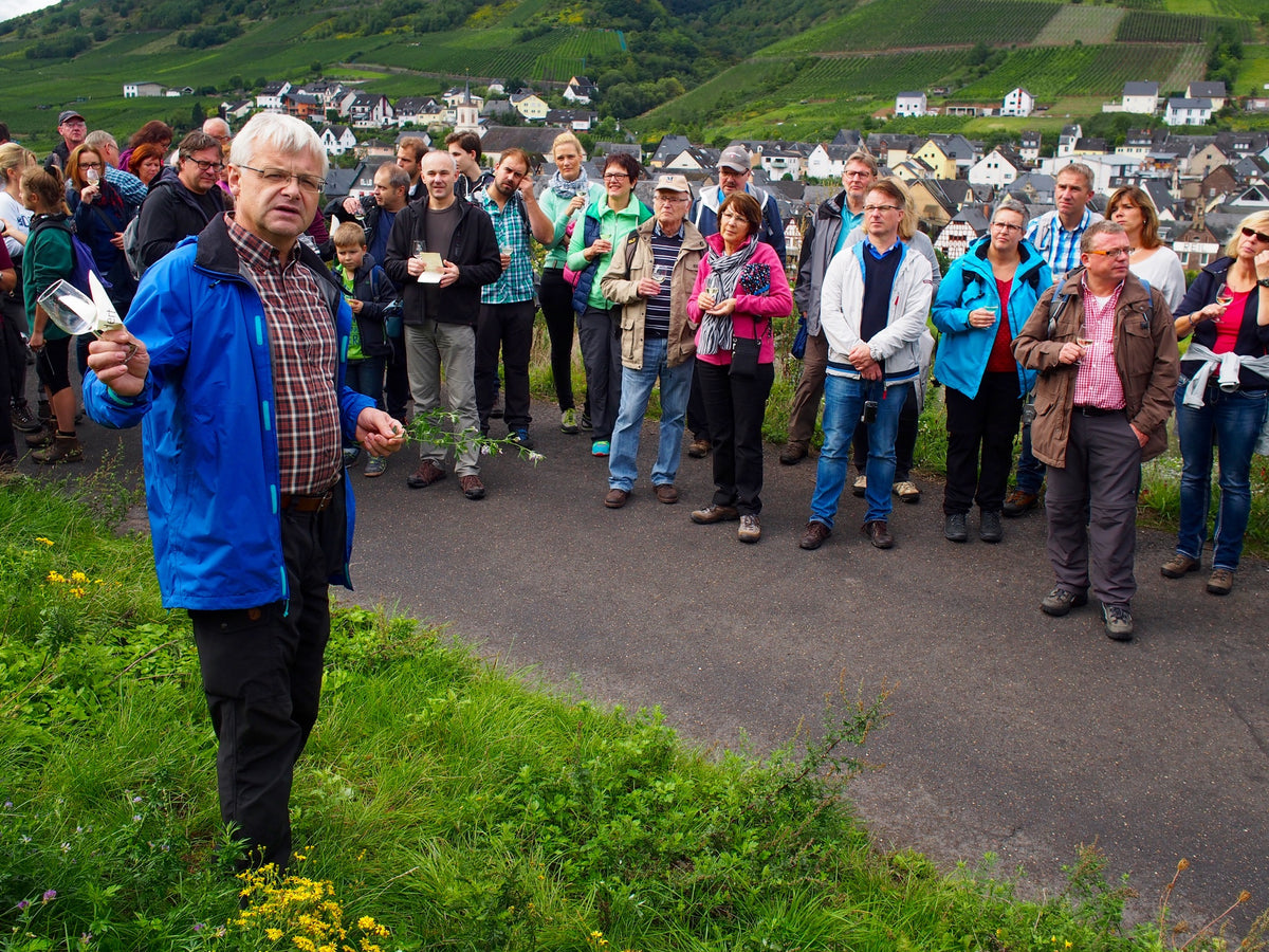 Weinprobe mit Gästen in den Weinbergen von Reil